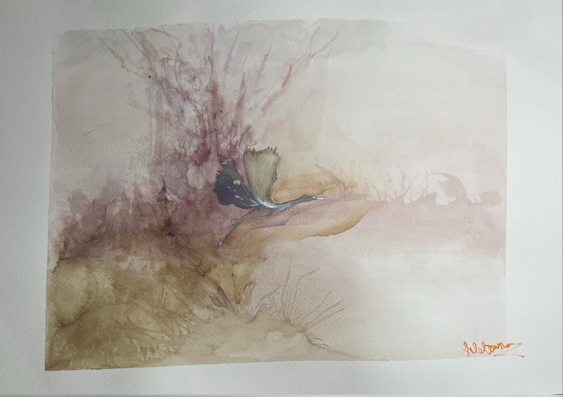 Watercolor bird study by Tilottama in soft brown and rose tones